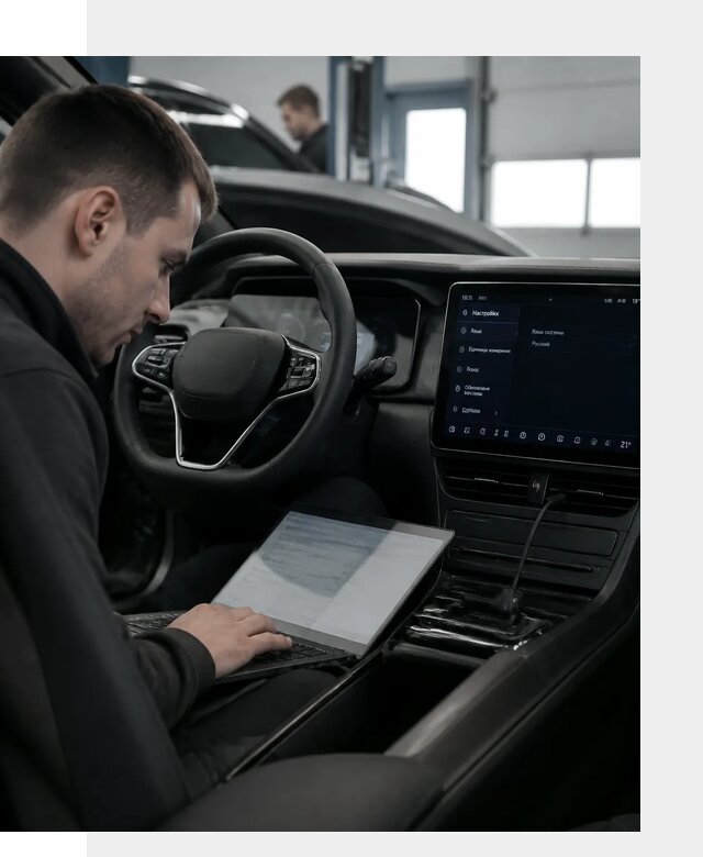 Русификация автомобилей BYD под ключ для всех моделей в Воронеже